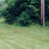 Flags.  Ithaca, NY.