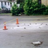 Cones in parking lot.  Ithaca, NY.