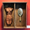 "Body Image"