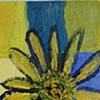 Blue and Yellow Flowers