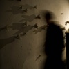 "Movement Toward the Light" Installation