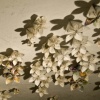 "Movement Toward the Light"