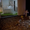 "Cemetery Timeline" and "Ode to the Bed" Video Installations