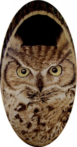 *OWL PORTRAIT*