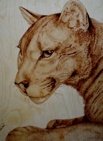 *MOUNTAIN LION*