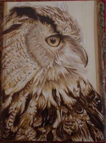 *OWL PROFILE*