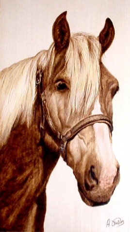 *BLONDIE*