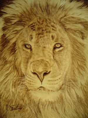 *KING OF THE JUNGLE*