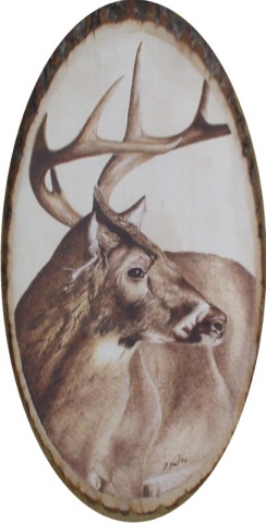*BUCK*