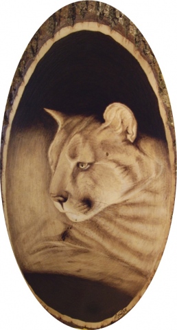 *COUGAR*