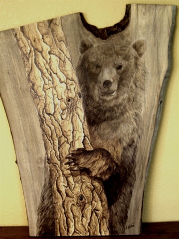 *PEEK-A-BOO BEAR*