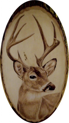 *DEER PORTRAIT*