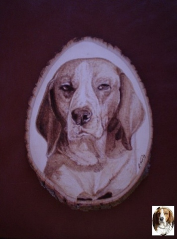 *BEAGLE*