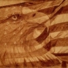 *AMERICAN FREEDOM*