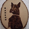 HANDSOME HANSON