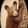 *CUB*