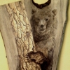 *PEEK-A-BOO BEAR*