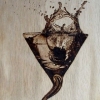 *SPLASH*