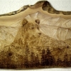 *BEAR COUNTRY*