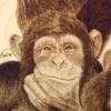 *MONKEY BUSINESS*