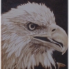 *EAGLE MUG*