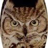 *OWL PORTRAIT*
