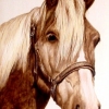 *BLONDIE*