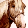 *BLONDIE*