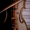*VIOLIN*
