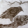 Mother Crow
