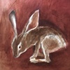 Jack Rabbit