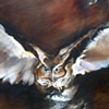 Flight of the Great Horned Owl