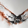 Owl in Flight 