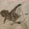 Flight patterns