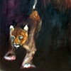 Cougar Stalking