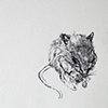 Mouse with Dinner
