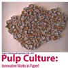 Pulp Culture: Innovative Works in Paper!
