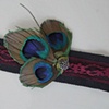 Three Feathers 