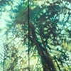 "Radium 3" (diptych)