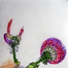 Abstract Drawings