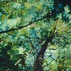"Radium 1"