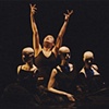 Performances