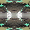 2.3