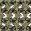 2.4