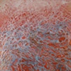 SWIMMING   18HX12W"   oil on wood panel