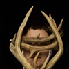 Natural Order 1