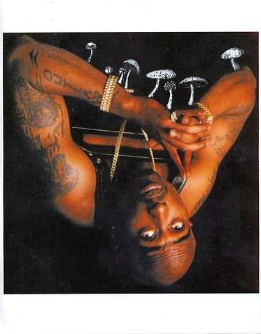 'The Ghost of Tupac Amaru Shakur Grows Some Amanita'