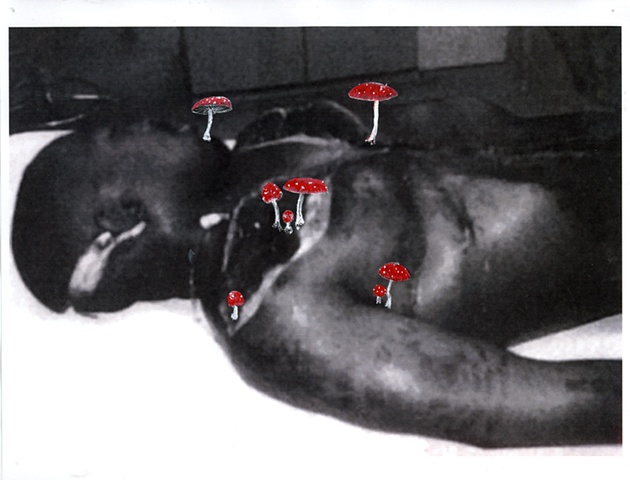 'Post Mortem Tupac with Amanita Muscaria'