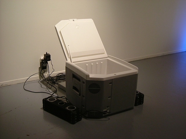 'Polar Express: Customised Cooler with Bass Bins, Video Monitor (I Like Big Butts)'