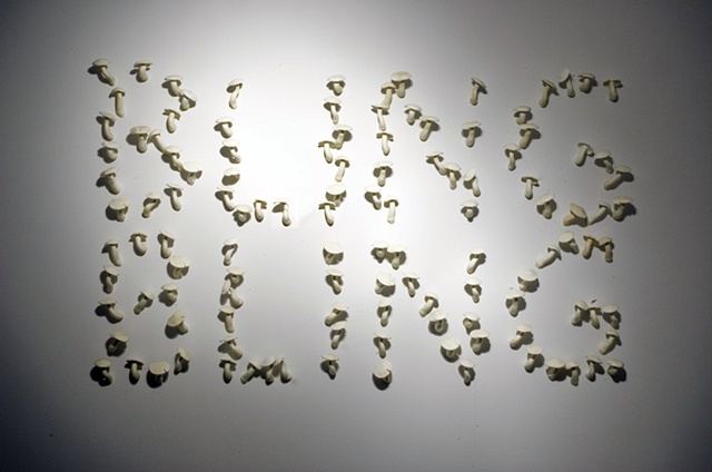 Proposal to Revive Dead or Outmoded Slang Through the Use of Bioluminescent Mushrooms (lights on)